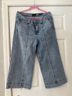 Cowell Light Blue Cropped Wide-Leg Jeans